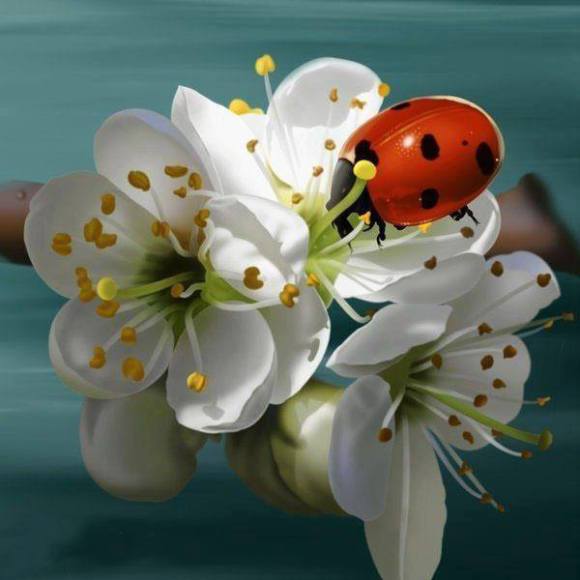 1044701_555057031216751_459794990_n