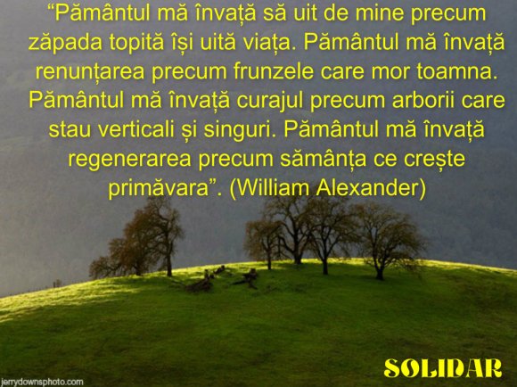 pizap.com14257106824991