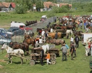 targ-comana1cai-gard